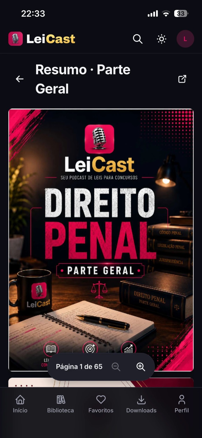 O resumo em PDF abre dentro do app